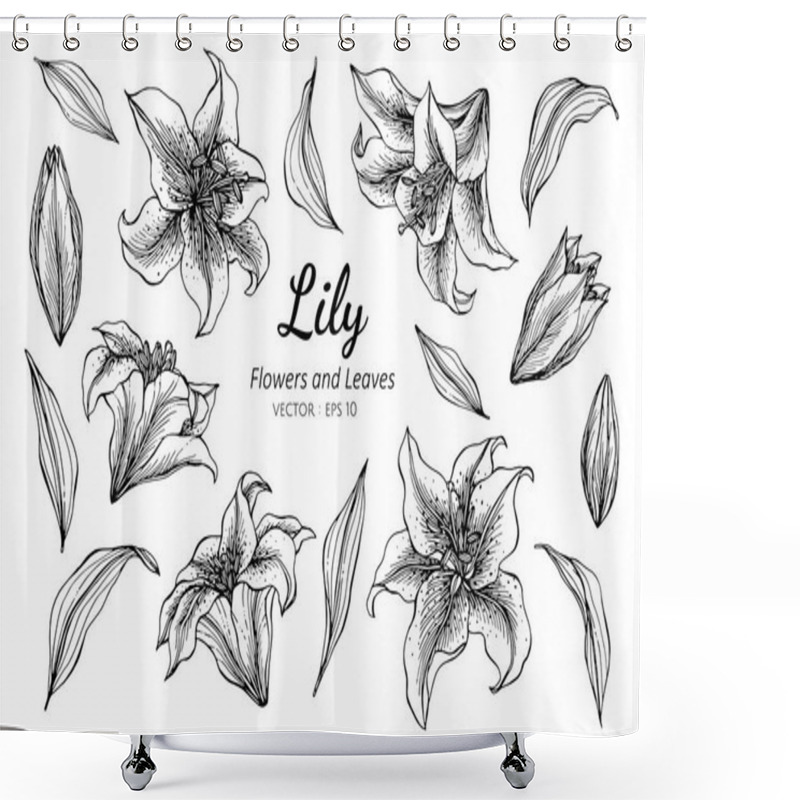 Personality  Collection Set Of Lily Flower And Leaves Drawing Illustration. Shower Curtains