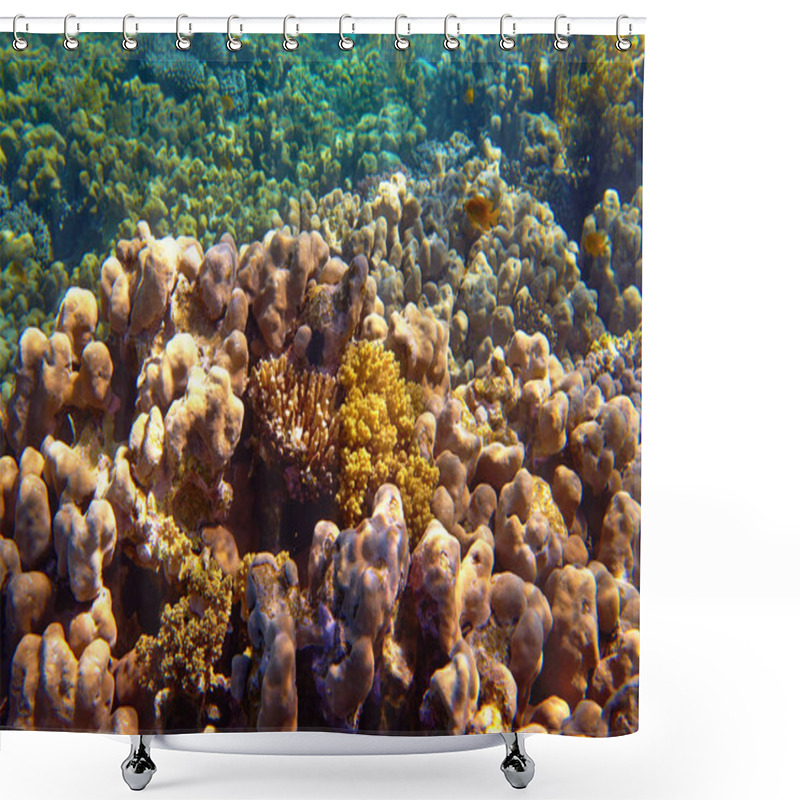 Personality  Beautiful Tropical Coral Reef In Sea Shower Curtains