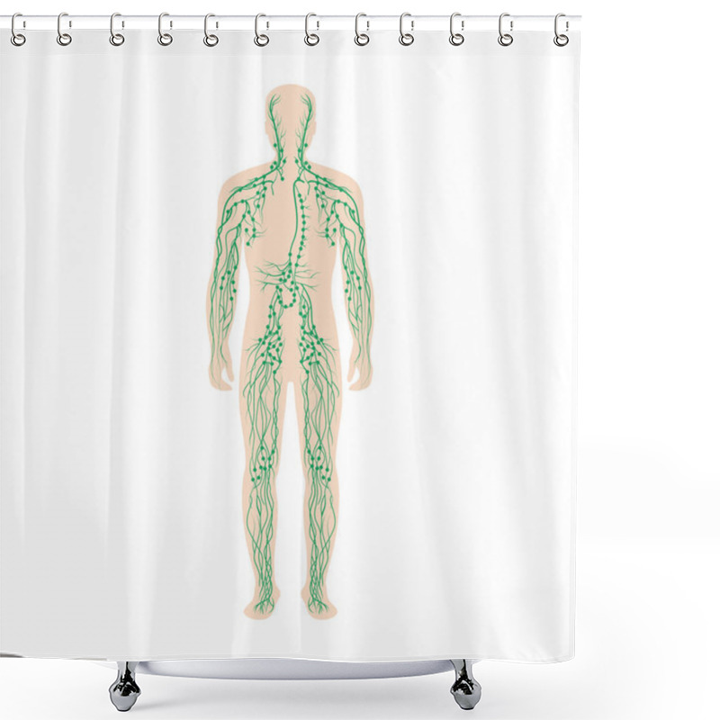 Personality  The Lymphatic System Labeled On A Male Body Shower Curtains