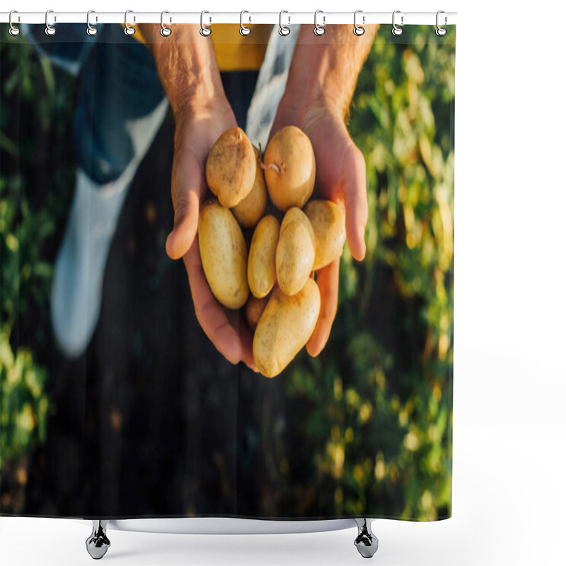 Personality  Cropped View Of Rancher Holding Fresh Potatoes In Cupped Hands, Selective Focus Shower Curtains