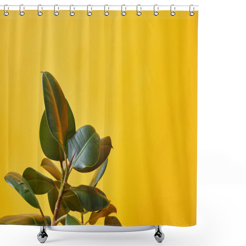 Personality  Close Up Of Green Ficus Leaves Isolated On Yellow Shower Curtains