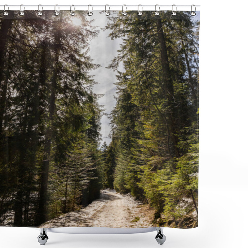 Personality  Pathway With Snow In Evergreen Forest In Spring  Shower Curtains