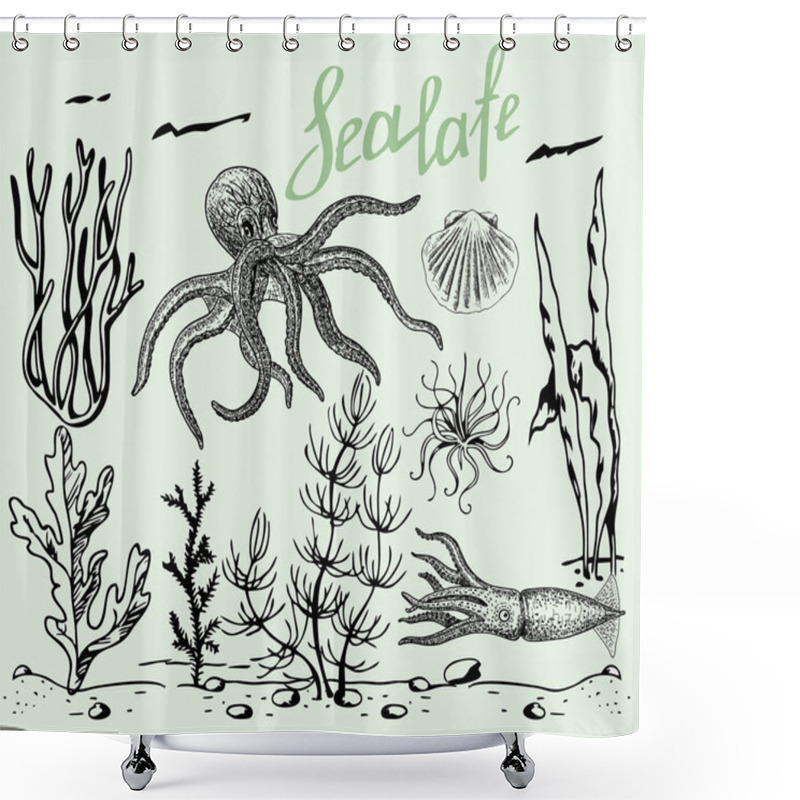 Personality  Hand Drawn Underwater Natural Elements. Sketch Of Reef Corals And Marine Inhabitants. Undersea World Theme Background Shower Curtains