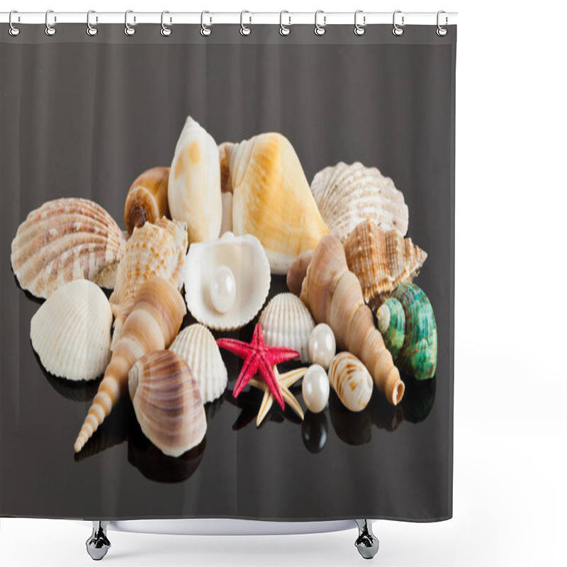 Personality  Exotic Sea Shell Shower Curtains