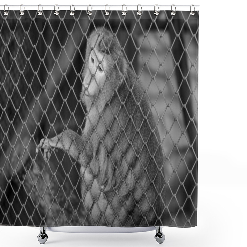 Personality  Monkey In Cage Shower Curtains