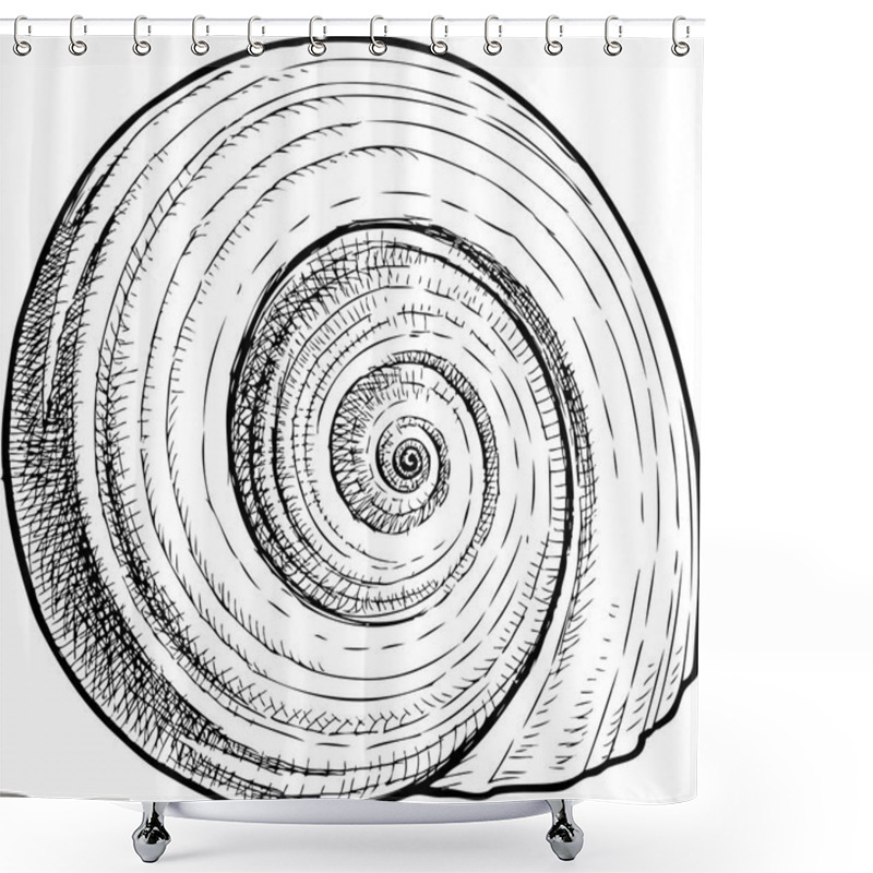 Personality  Sketch Of A Spiral Seashell Shower Curtains