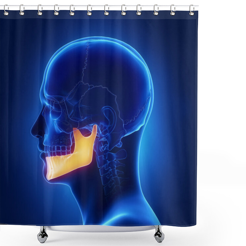 Personality  Mndible, Mandibula Jaw Bone Shower Curtains