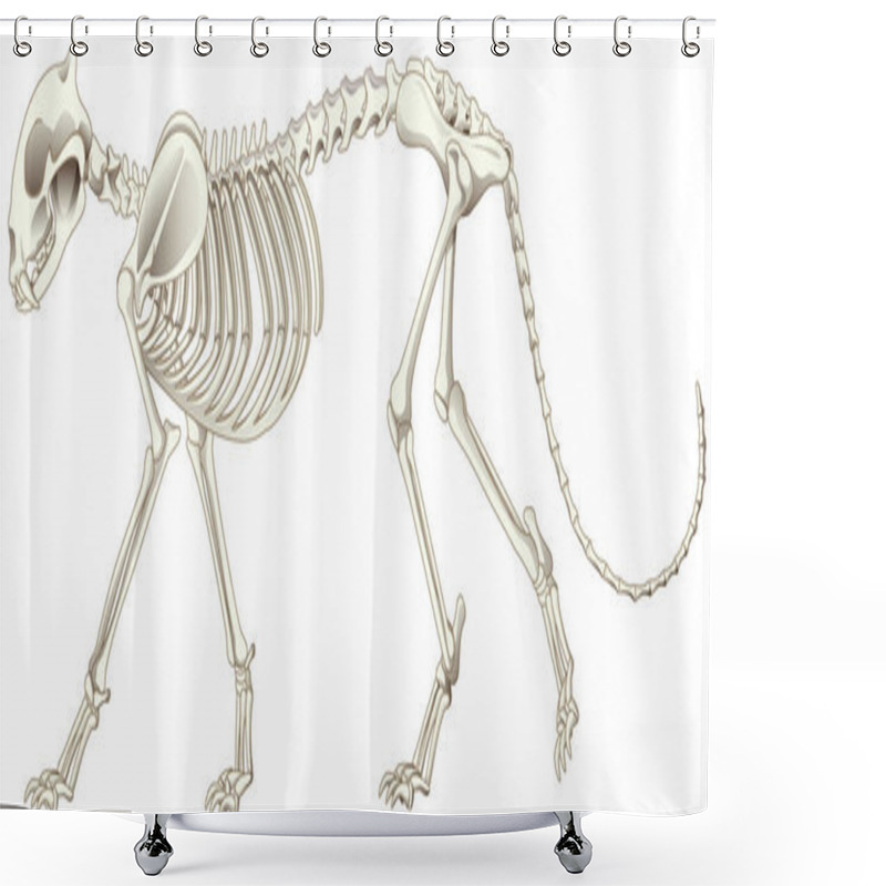 Personality  Leopard Skeleton On White Background Illustration Shower Curtains