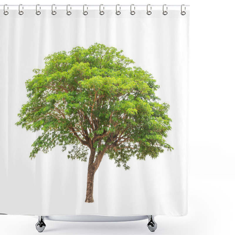 Personality  Rain Tree (Albizia Saman), Tropical Tree In The Northeast Of Tha Shower Curtains