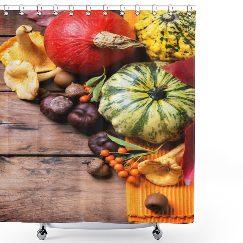 Personality  Pumpkins, Nuts And Berries Shower Curtains