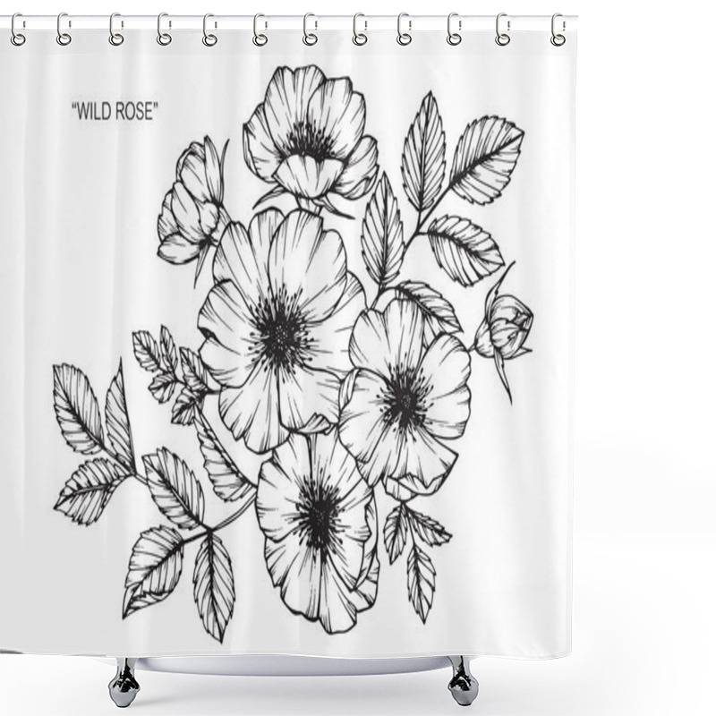 Personality  Wild Rose Flower. Drawing And Sketch With Black And White Line-art. Shower Curtains