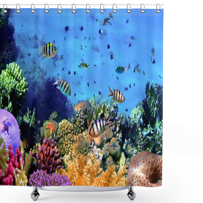 Personality  Corals Reef Shower Curtains