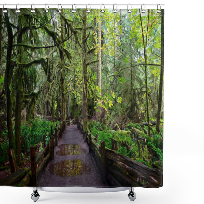 Personality  Path In The Rain Forest In Cathedral Grove On A Rainy Day. Mac Millan Provincial Park On Vancouver Island. Nanaimo. British Columbia. Canada. Shower Curtains