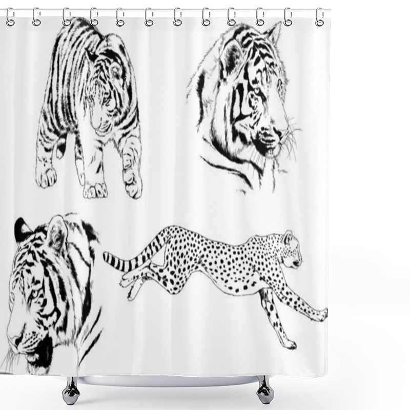 Personality  Vector Drawings Sketches Different Predator , Tigers Lions Cheetahs And Leopards Are Drawn In Ink By Hand , Objects With No Background Shower Curtains