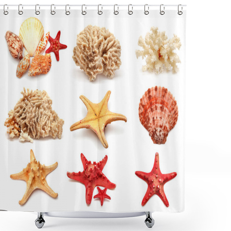 Personality  Sea Stars, Shells And Coral Shower Curtains