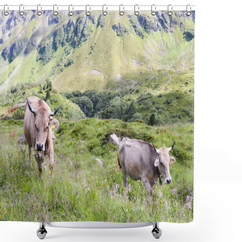 Personality  Gray Cows In The Tyrolean Shower Curtains