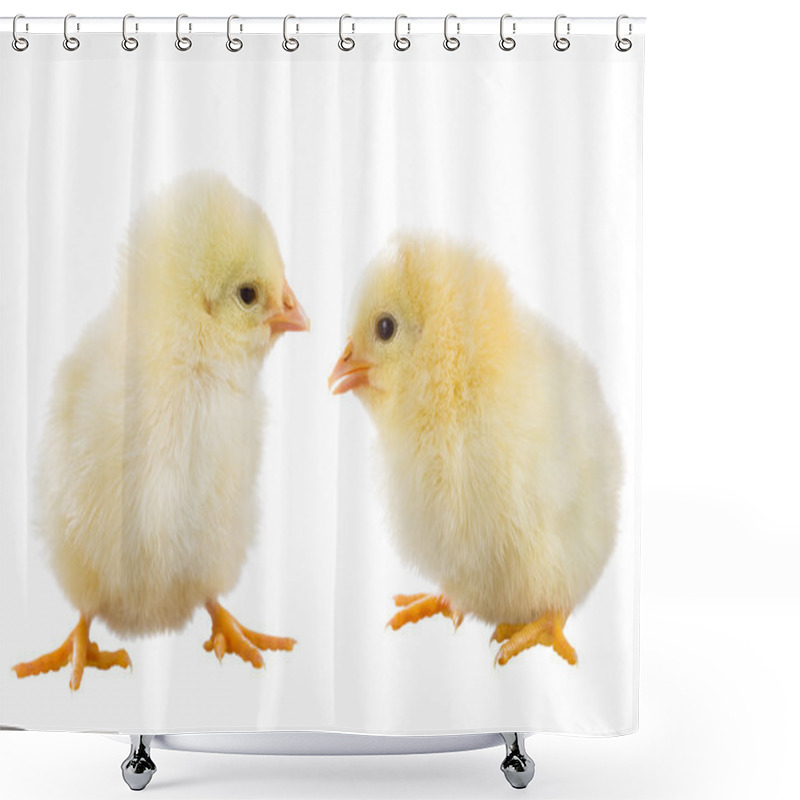 Personality  Yellow Chick Shower Curtains