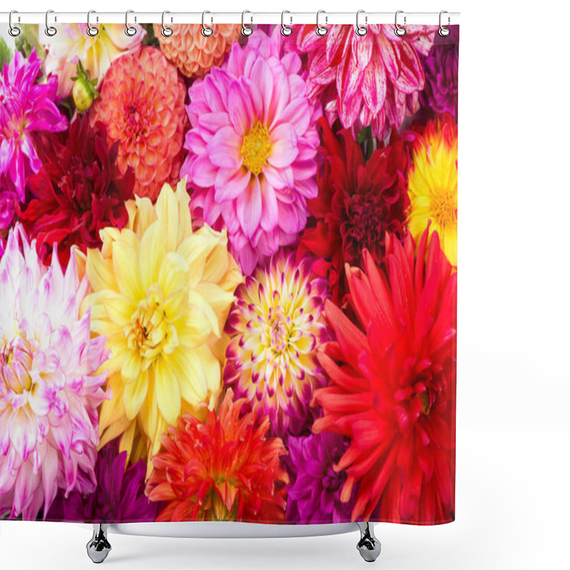 Personality  Deautiful Flower Dahlia Isolated On A White Background Shower Curtains