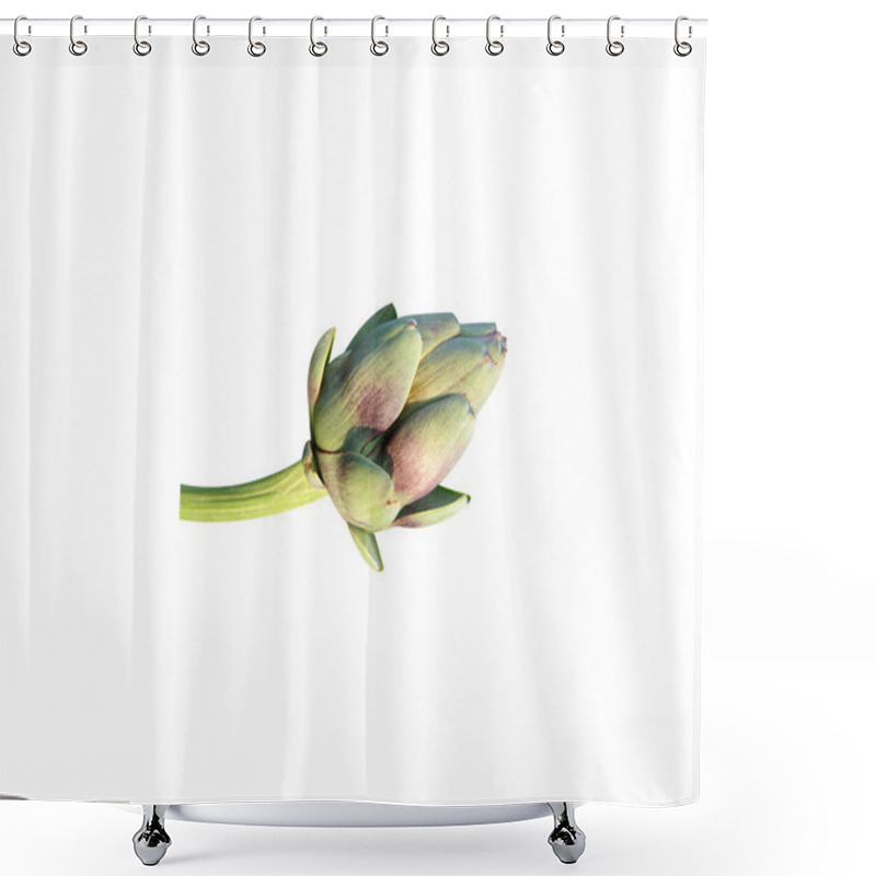 Personality  Globe Artichoke Or Cynara Cardunculus Fruits On Isolated White Background Shower Curtains