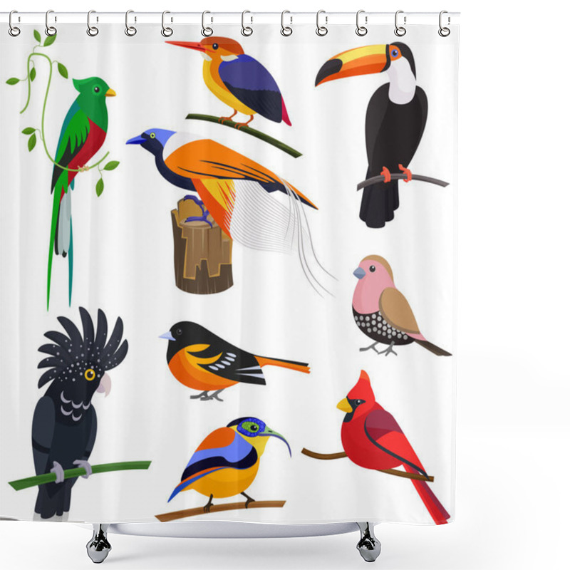 Personality  Set Of Vector Flat Cartoon Tropical Exotic Birds Set. Shower Curtains