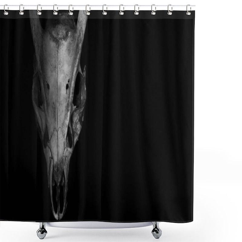 Personality  Skull Of A Horned Animal Isolated On Black In The Style Of Horro Shower Curtains