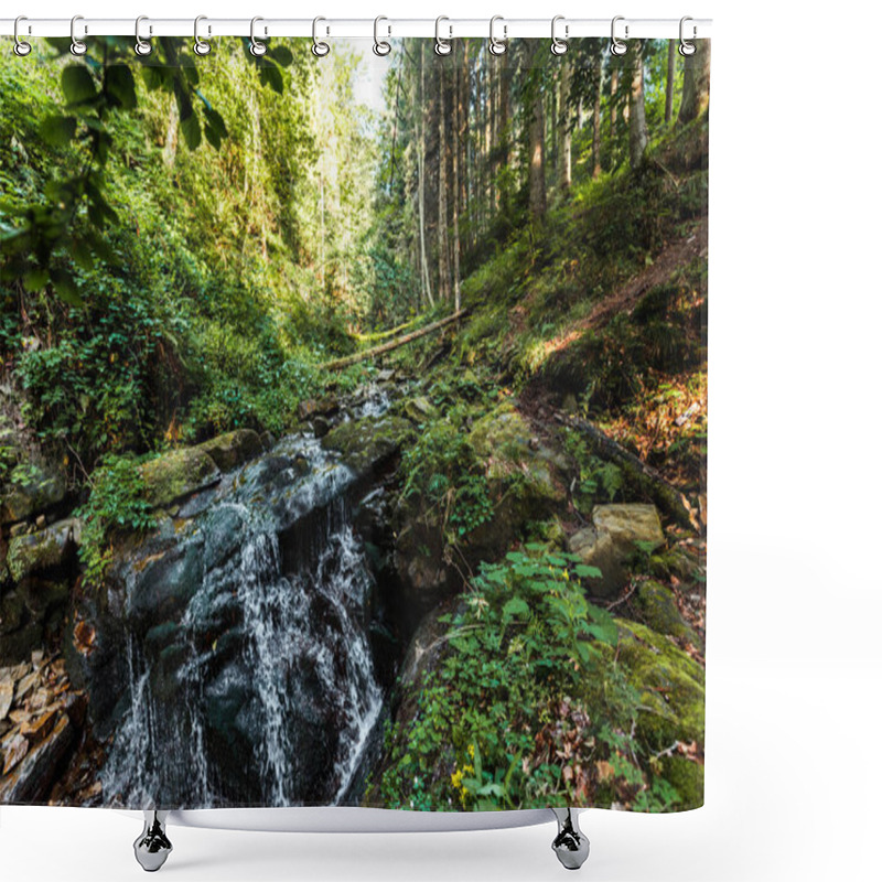 Personality  Flowing River Near Wet Stones In Woods Shower Curtains