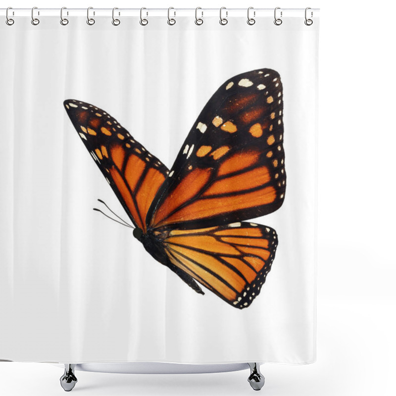 Personality  Beautiful Monarch Butterfly Shower Curtains