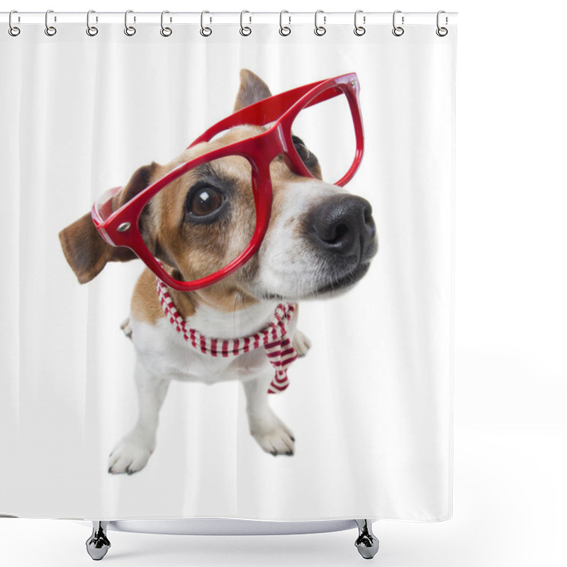 Personality  Smart Fashion Dog Shower Curtains