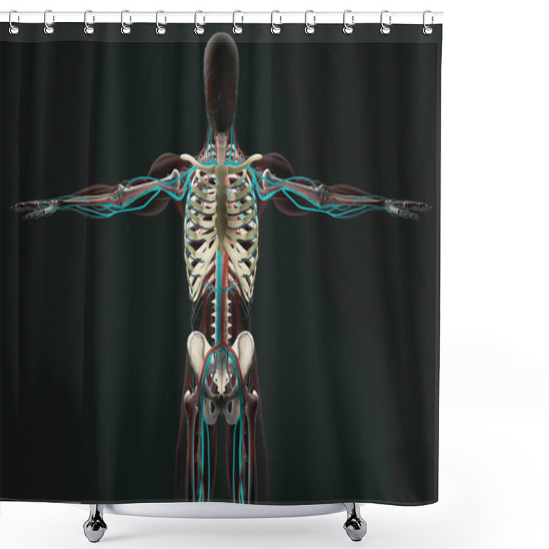 Personality  Human Anatomy Model Shower Curtains