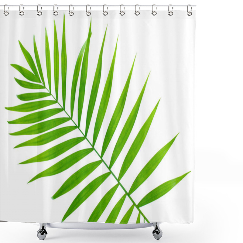 Personality  Beautiful Green Palm Leaf Isolated On White Shower Curtains