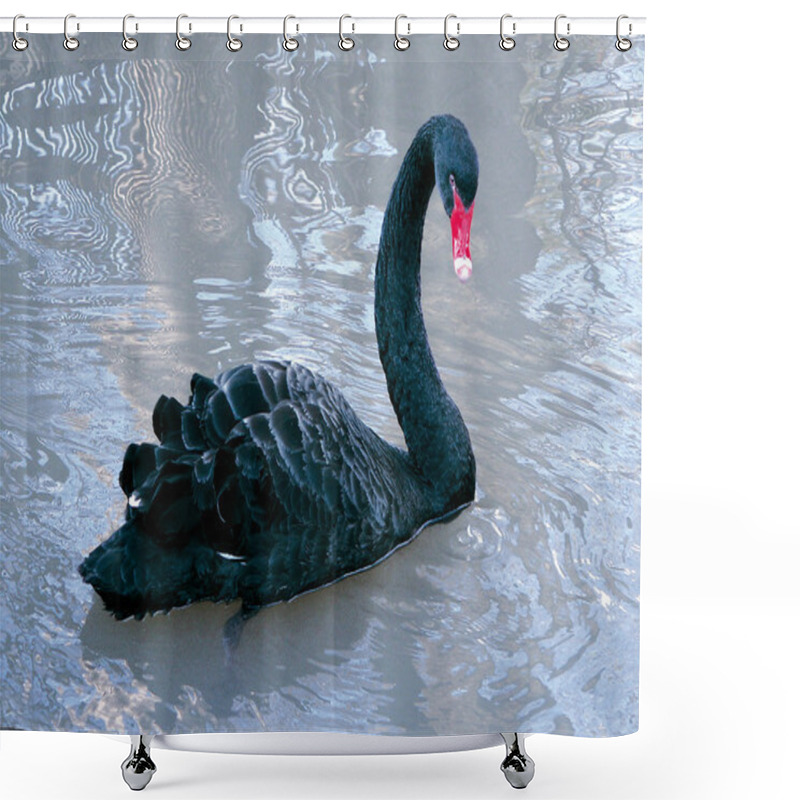 Personality  Black Swan Shower Curtains