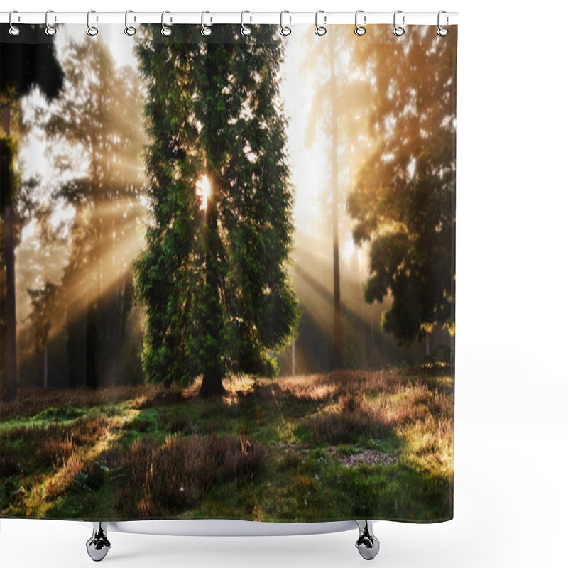 Personality  Inspirational Dawn Sun Burst Through Trees In Forest Autumn Fall Shower Curtains