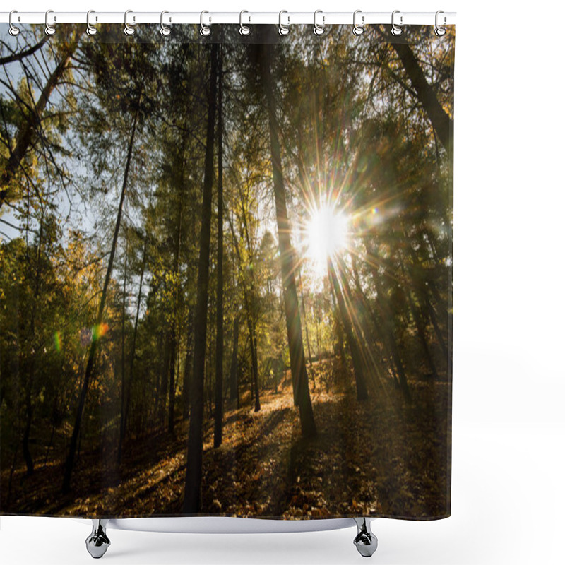 Personality  Sunbeams Through  Forest Trees Shower Curtains