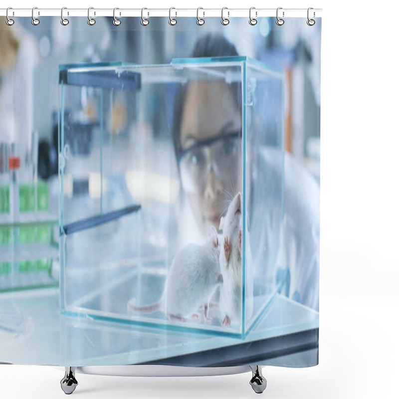 Personality  Medical Research Scientists Examines Laboratory Mice Kept In A G Shower Curtains