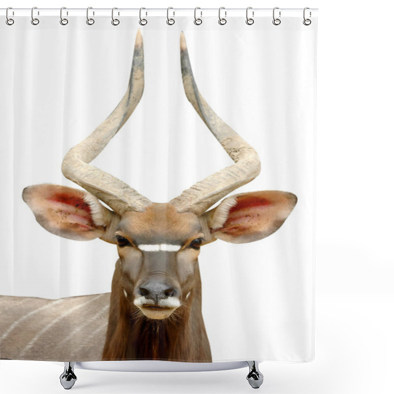 Personality  Nyala Isolated On White Background Shower Curtains