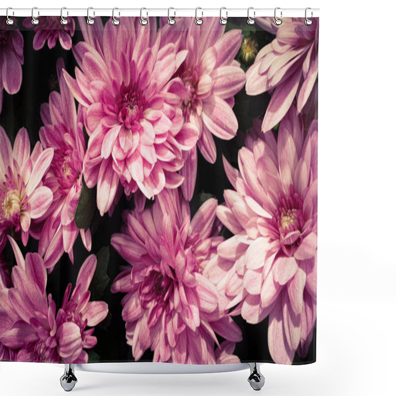 Personality  Beautiful Pink Flowers Chrysanthemum Flower Heads Shower Curtains