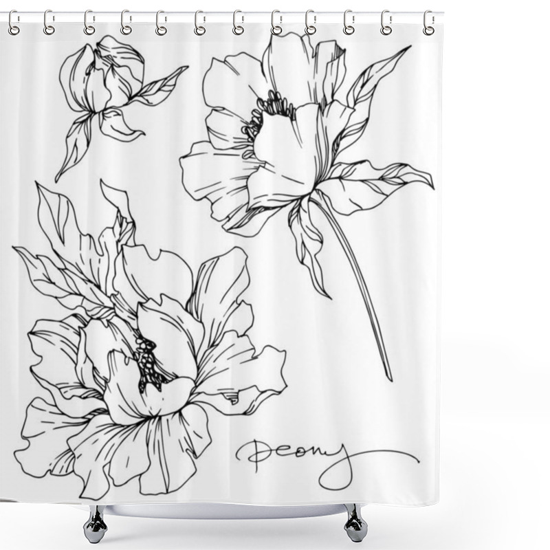 Personality  Vector Peony Floral Botanical Flowers. Black And White Engraved  Shower Curtains