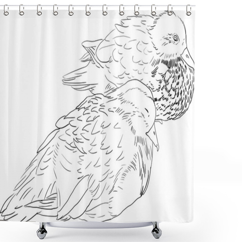 Personality  Two Linear Drawing Duck Shower Curtains