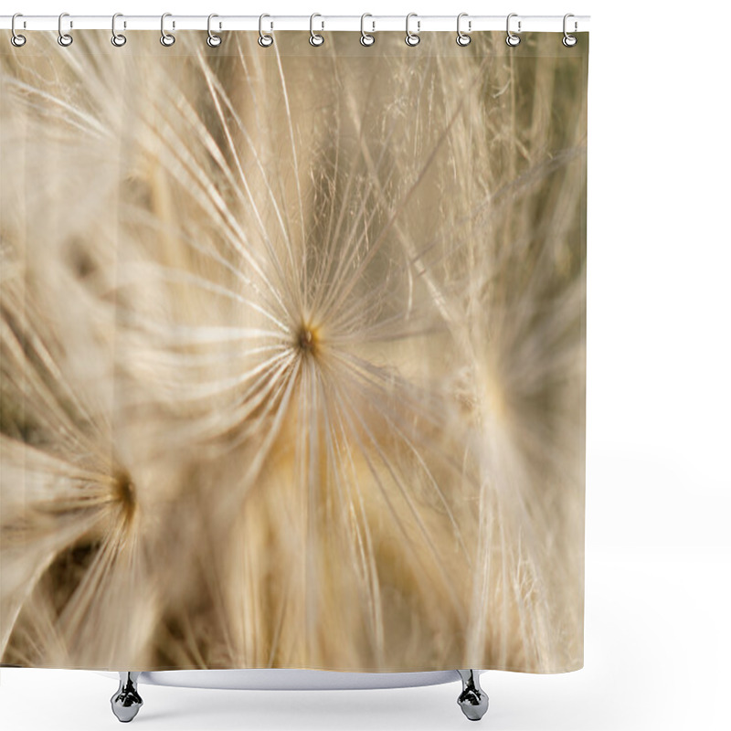 Personality  Dandelion Seeds - Macro Photo Shower Curtains