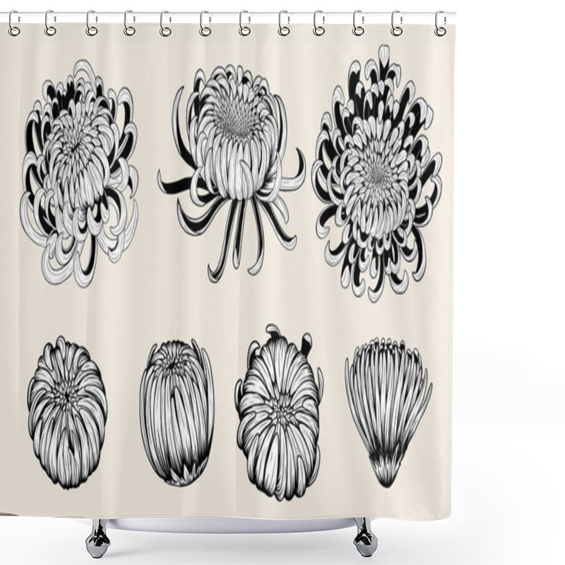 Personality  Chrysanthemum Vector On Brown Background.Chrysanthemum Flower By Hand Drawing.Floral Tattoo Highly Detailed In Line Art Style.Flower Tattoo Black And White Concept. Shower Curtains