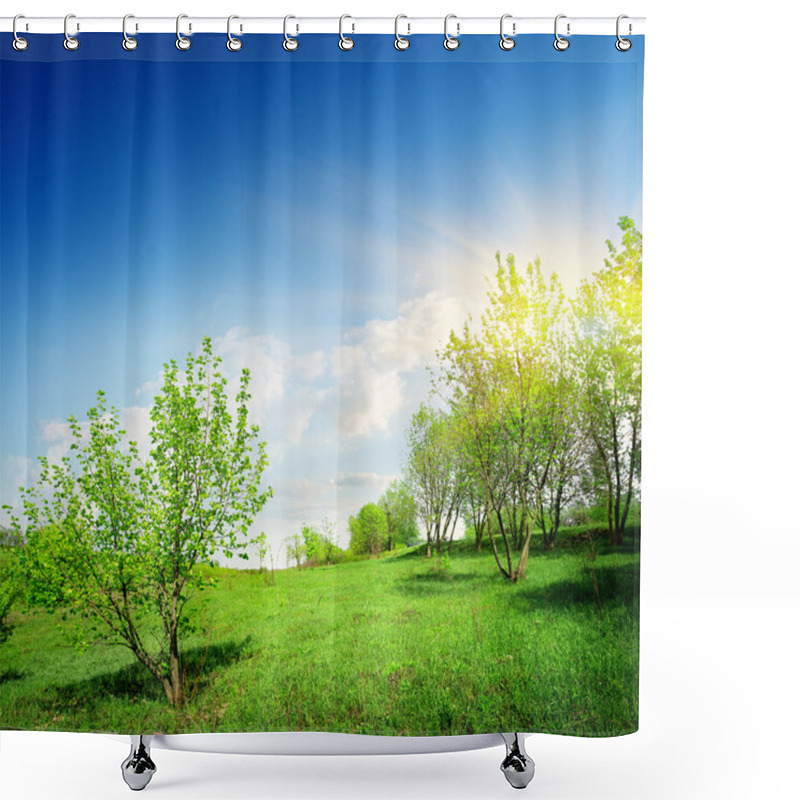 Personality  Young Trees And Green Lawn Shower Curtains