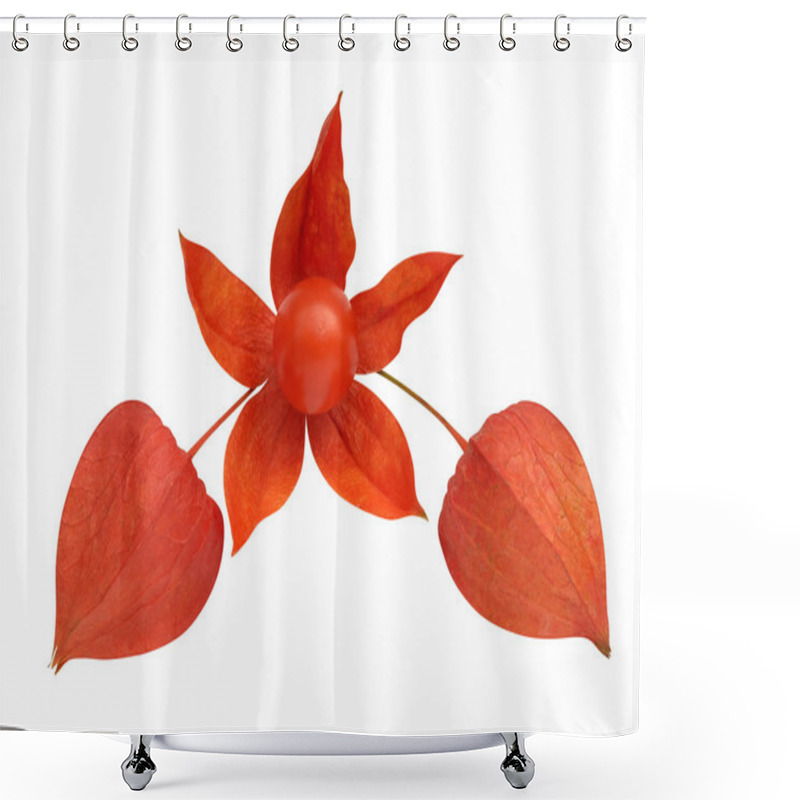 Personality  Winter Cherry Shower Curtains