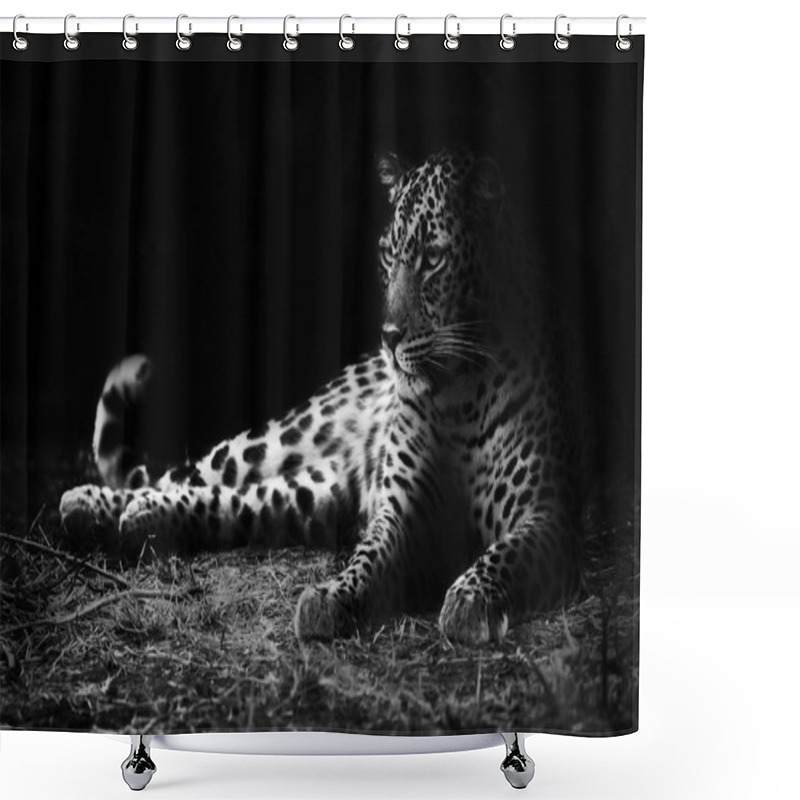 Personality  Leopard Shower Curtains