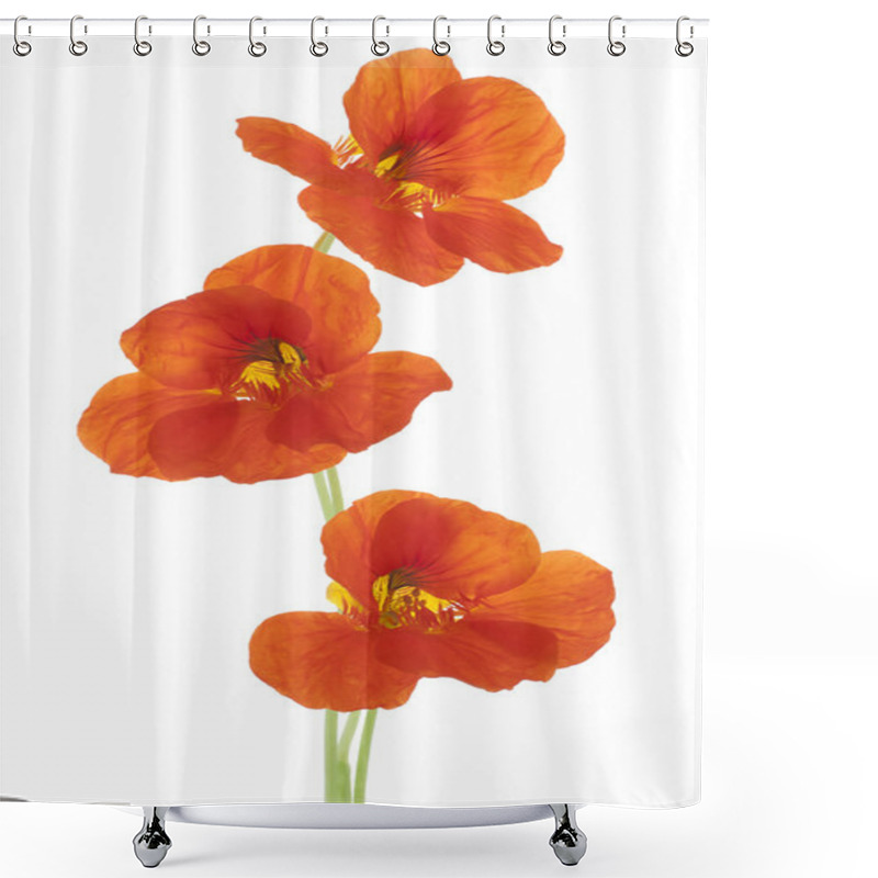 Personality  Nasturtium Shower Curtains