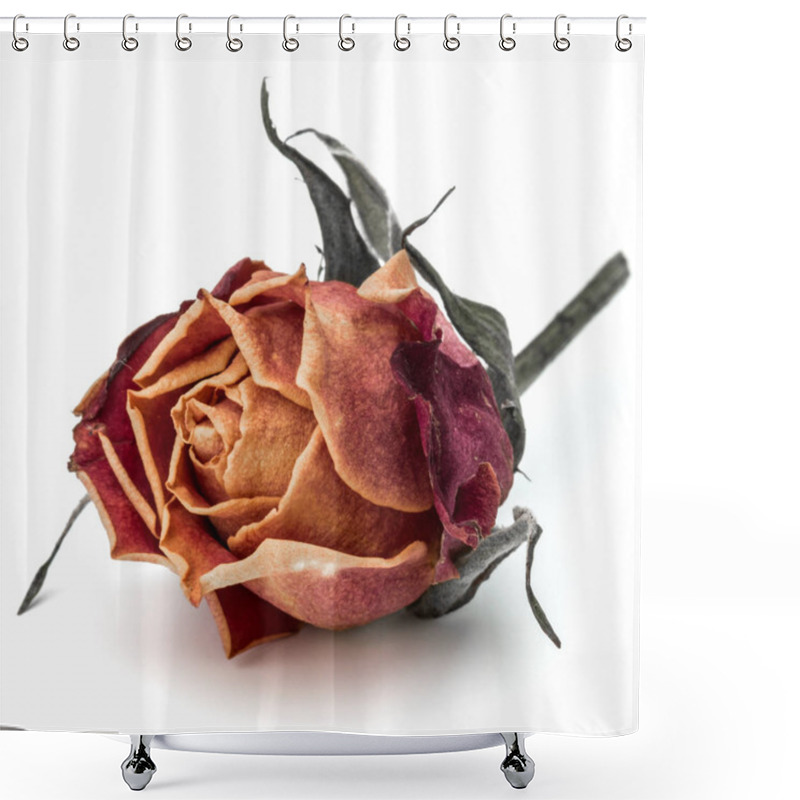 Personality  Dried Rose Flower  Shower Curtains