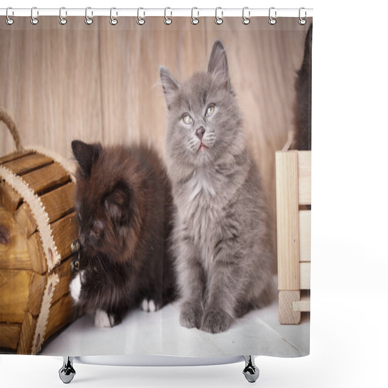 Personality  Two Kittens Are Played Around A Wooden Box. Shower Curtains