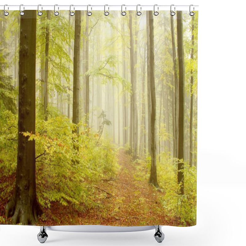 Personality  Path Leading By Beech Woods Shower Curtains