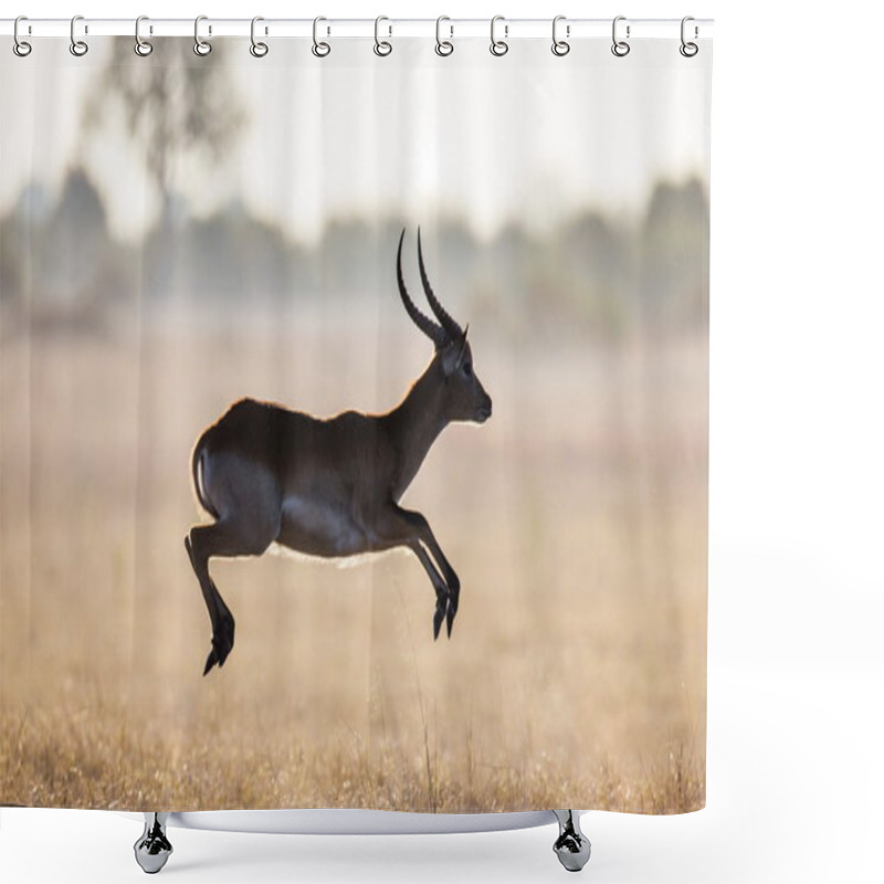 Personality  Adult Gazelle Running In Savanna Shower Curtains