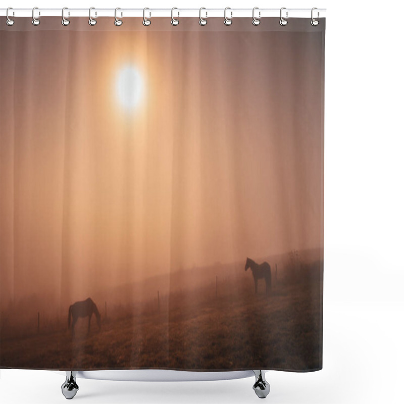 Personality  Horses Grassing Together In Autumn Summer Morning, Calm, Nostalgic Mood, Edit Space Shower Curtains