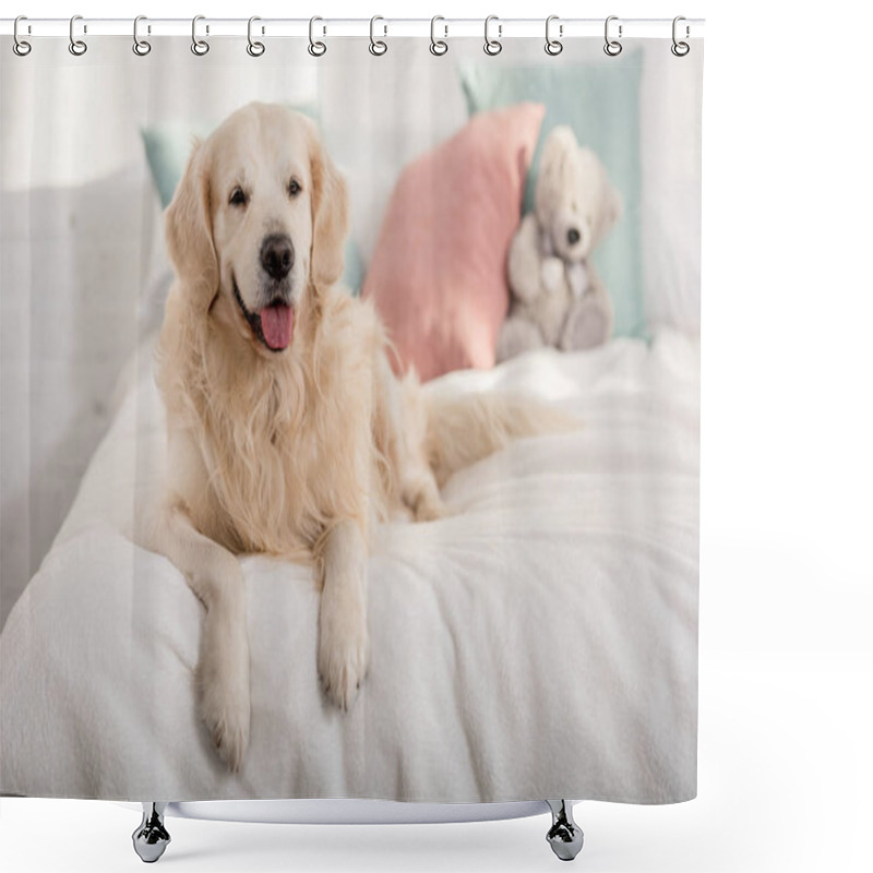 Personality  Cute Golden Retriever Dog Lying On Bed Children Room Shower Curtains